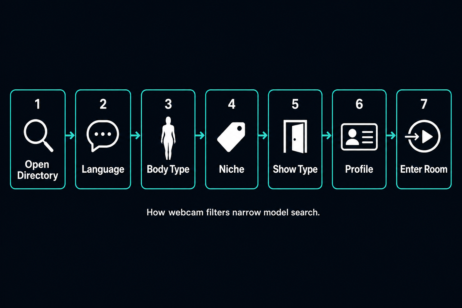 Webcam filter usage flowchart: open directory → language → body type → niche → show type → profile → enter room